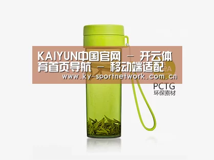 产品展示标题五