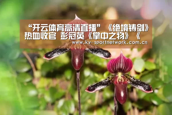 “开云体育高清直播”《绝境铸剑》热血收官 彭冠英《掌中之物》《亲爱的自己》榜上有名(图2) 开云体育官方入口