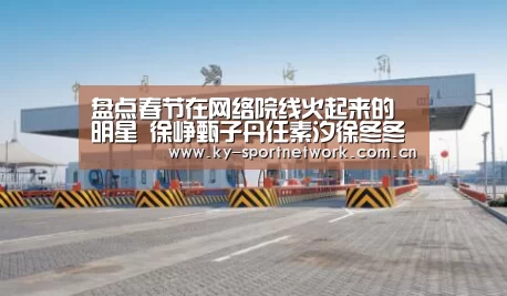 盘点春节在网络院线火起来的明星 徐峥甄子丹任素汐徐冬冬【开云官网首页】(图2) 开云体育官方入口