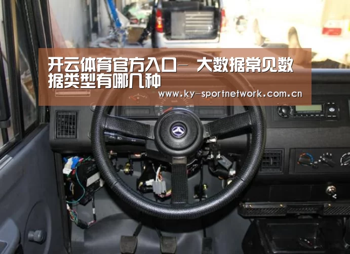 开云体育官方入口-
大数据常见数据类型有哪几种(图2) 开云体育官方入口