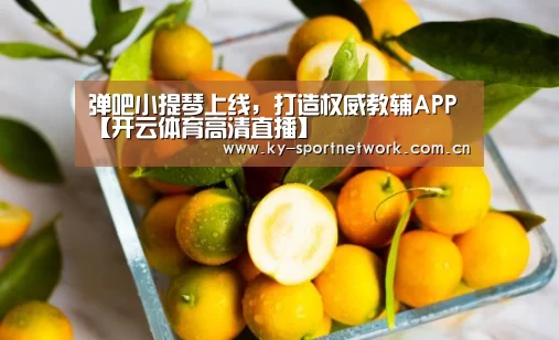 弹吧小提琴上线,打造权威教辅APP【开云体育高清直播】(图1) KAIYUN SPORTS