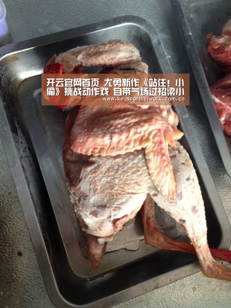 开云官网首页_尤勇新作《站住!小偷》挑战动作戏 自带气场过招梁小龙(图3) KAIYUN SPORTS