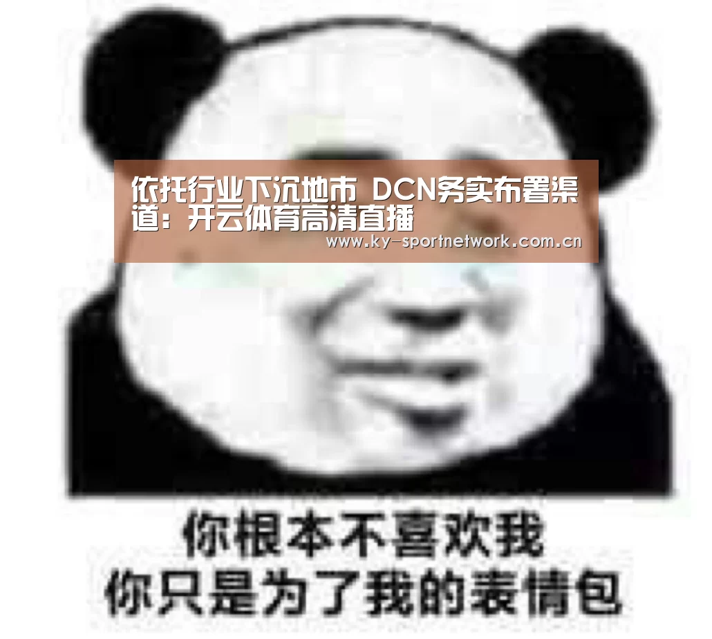 依托行业下沉地市 DCN务实布署渠道:开云体育高清直播(图2) 开云体育高清直播