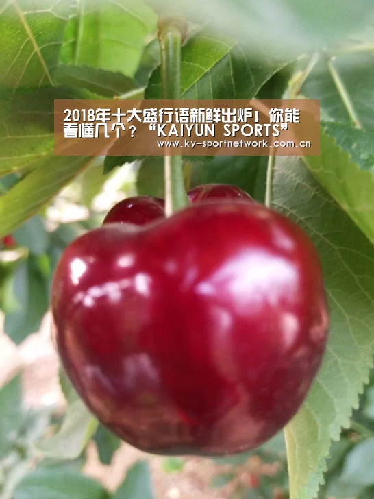 2018年十大盛行语新鲜出炉!你能看懂几个?“KAIYUN SPORTS”(图3) 开云官网首页