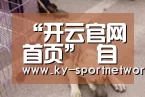 开云官网首页