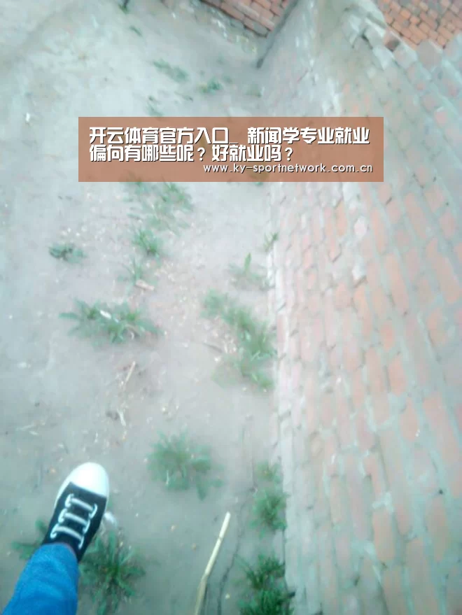 开云体育官方入口_
新闻学专业就业偏向有哪些呢?好就业吗?(图3) 开云体育官方入口