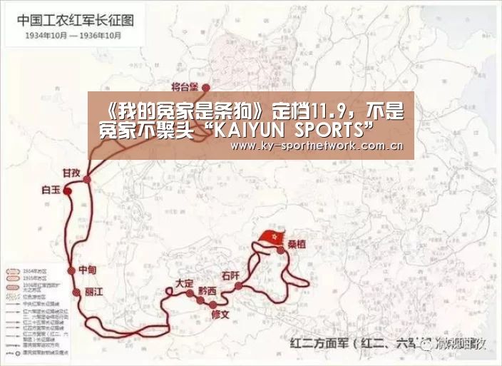 《我的冤家是条狗》定档11.9,不是冤家不聚头“KAIYUN SPORTS”(图3) 开云体育官方入口