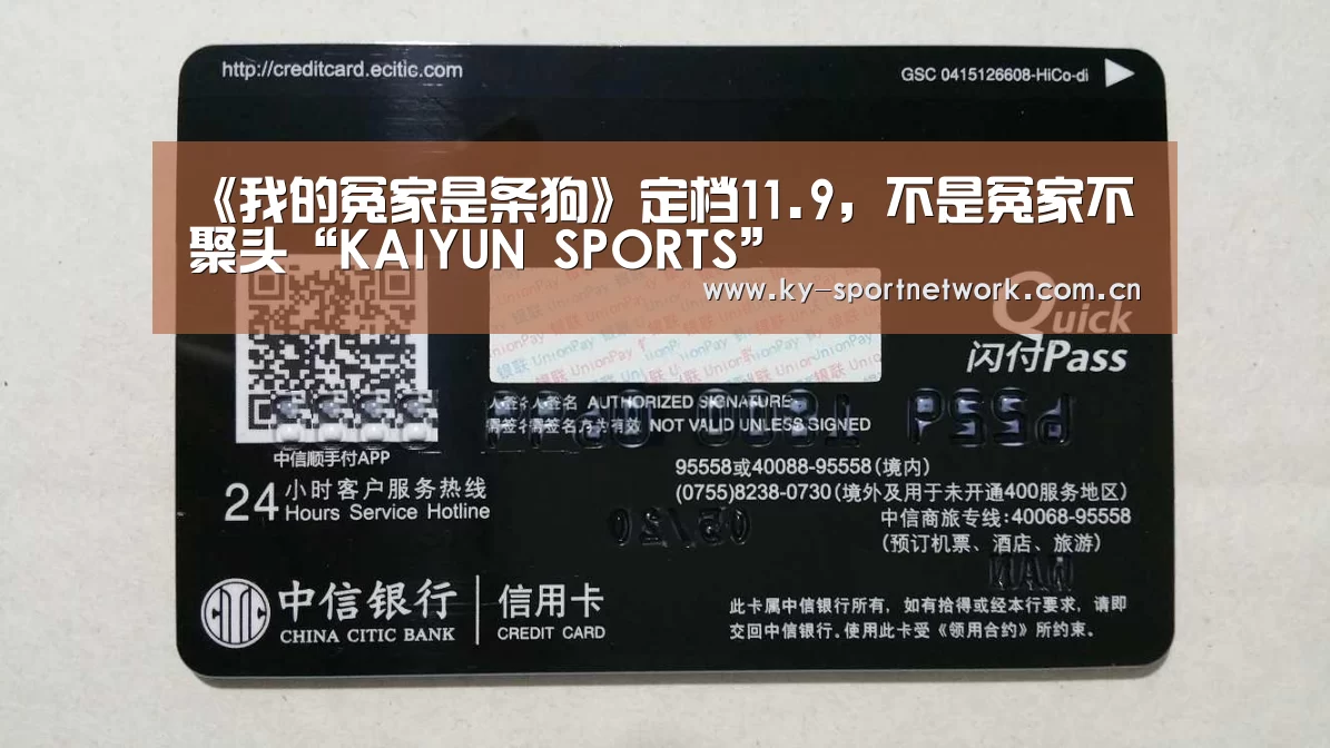 《我的冤家是条狗》定档11.9,不是冤家不聚头“KAIYUN SPORTS”(图2) KAIYUN SPORTS