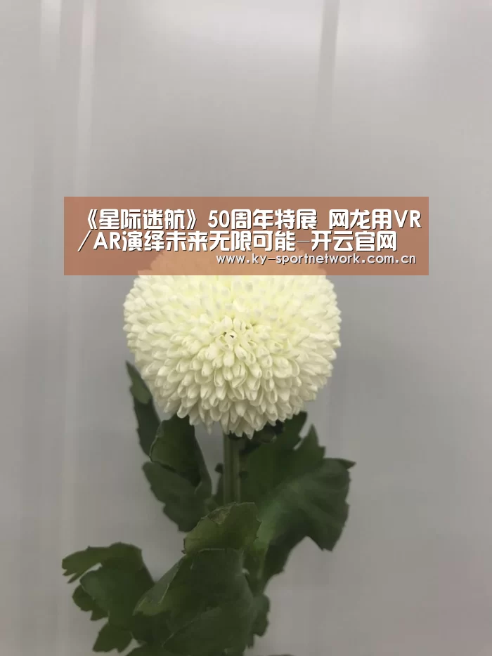 《星际迷航》50周年特展 网龙用VR/AR演绎未来无限可能-开云官网首页(图2) KAIYUN SPORTS