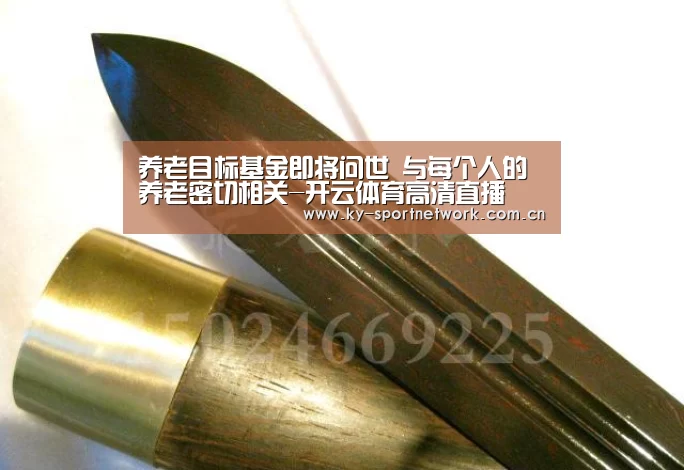 养老目标基金即将问世 与每个人的养老密切相关-开云体育高清直播(图2) 开云体育高清直播